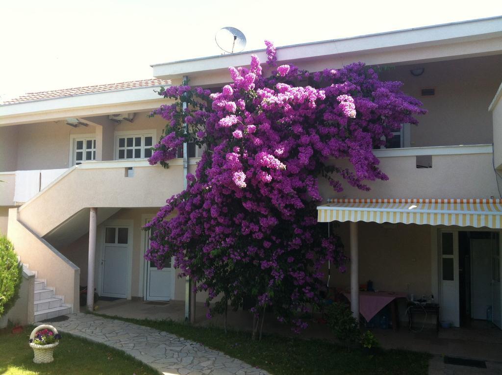 Apartments Ada Bojana Ulcinj Pokoj fotografie